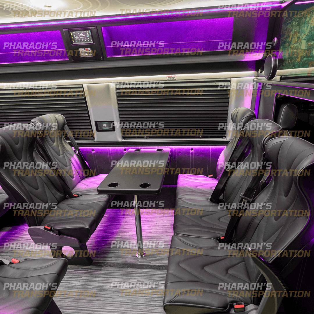 Brand New 2025 Sprinter Limo Rental in Milwaukee